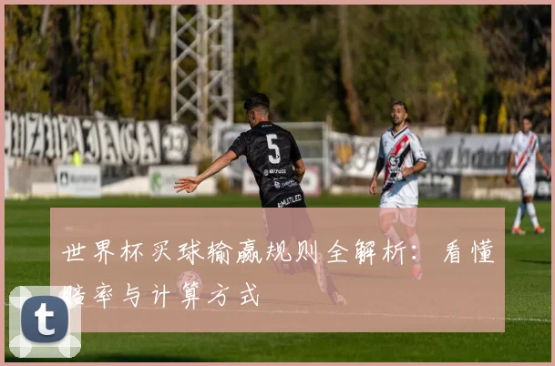 世界杯买球输赢规则全解析：看懂赔率与计算方式