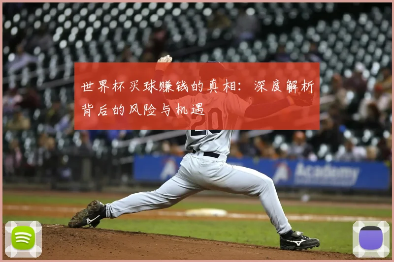 世界杯买球赚钱的真相：深度解析背后的风险与机遇