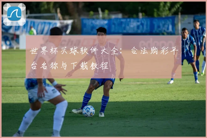 世界杯买球软件大全：合法购彩平台名称与下载教程