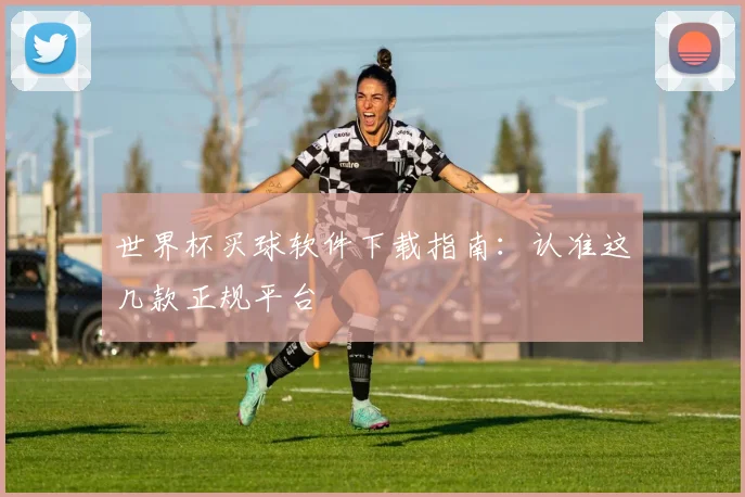 世界杯买球软件下载指南：认准这几款正规平台