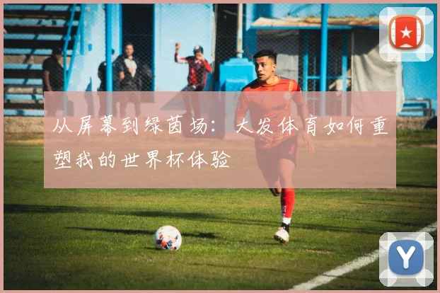从屏幕到绿茵场:大发体育如何重塑我的世界杯体验