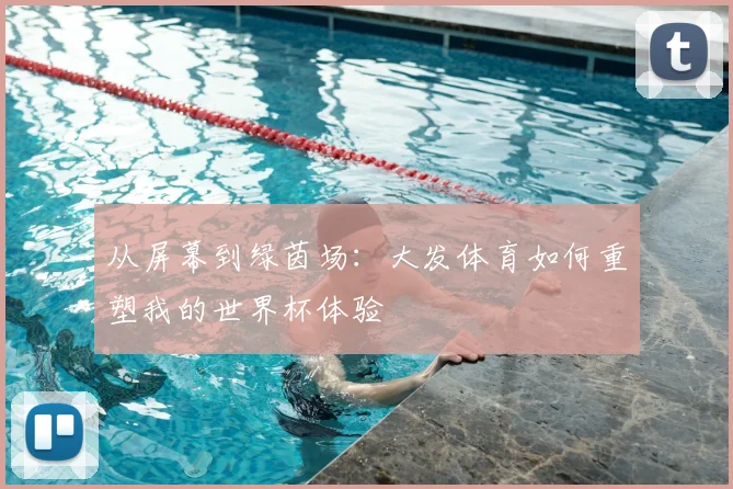 从屏幕到绿茵场:大发体育如何重塑我的世界杯体验