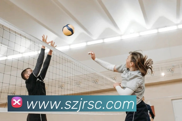 多媒体互动体验